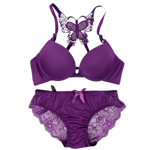Women Premium Quality Lace Lingerie Bra + Panties Set